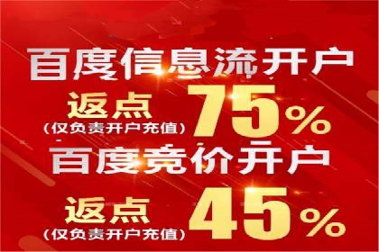 百度SEO推广实战案例：提升网站排名